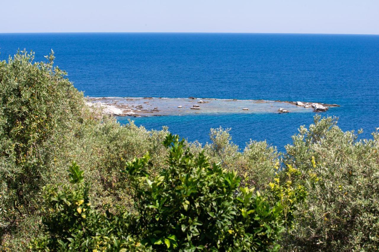 Archodissa Villa Thimonia Luaran gambar